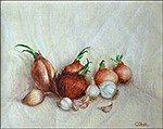 Soğanlar, natürmort, yağlı boya, 1981, 35cm×24cm